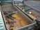 THOMPSON steel Body