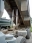 Tipper Trucks