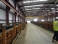 Steel Frame Building