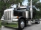 PETERBILT 379-127