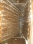 BL Pegson Crusher